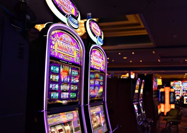 Antarmuka aplikasi singobet menampilkan menu sportsbook, live dealer, dan slot games di perangkat mobile